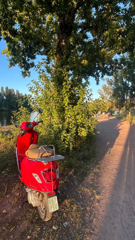 Red Road Runner - Motorroller